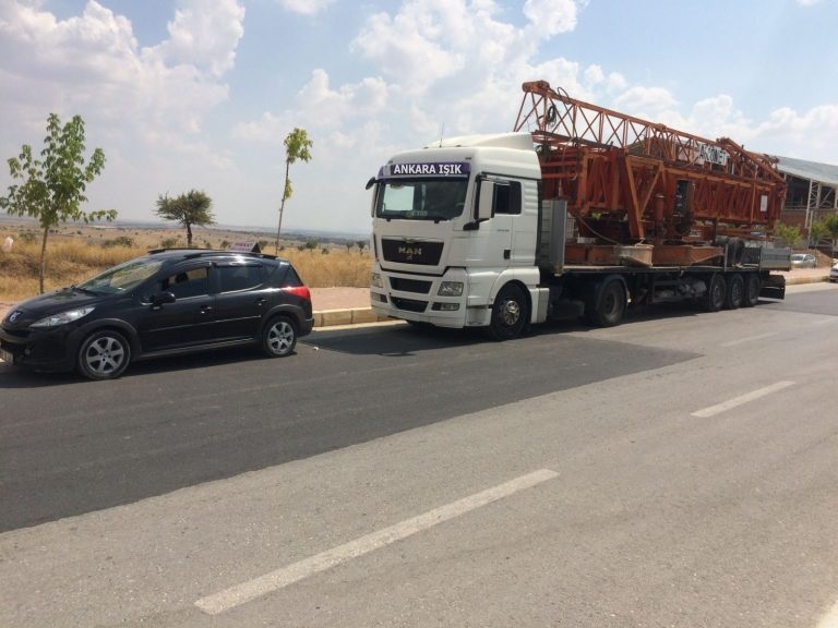 FİLOMUZ